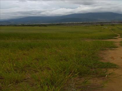 Terreno à Venda