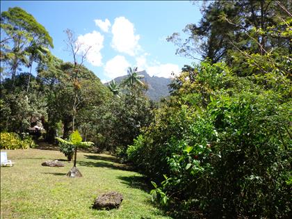 Terreno à Venda