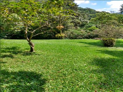 Terreno à Venda