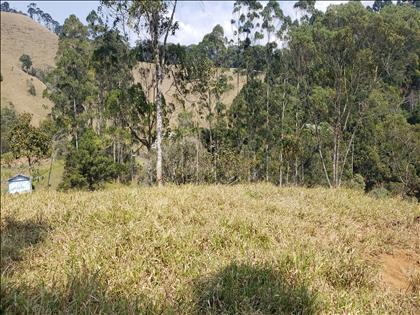 Terreno à Venda